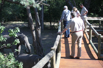 Nambwa Tented Lodge Kongola Exterior photo